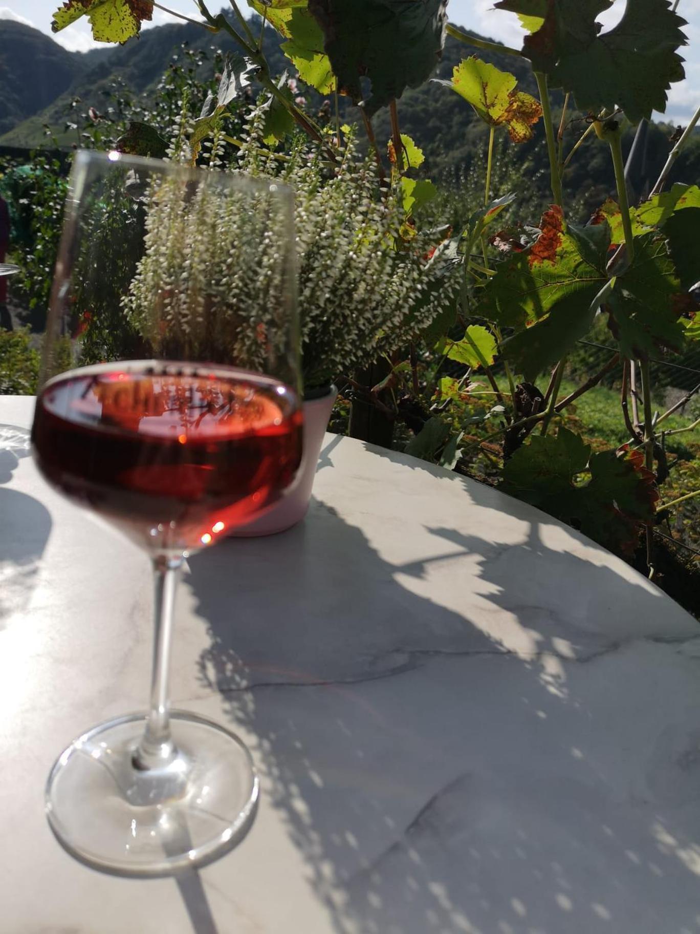 Gaestehaus Eulenkoepfchen Neef Bagian luar foto